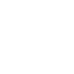 sportybid